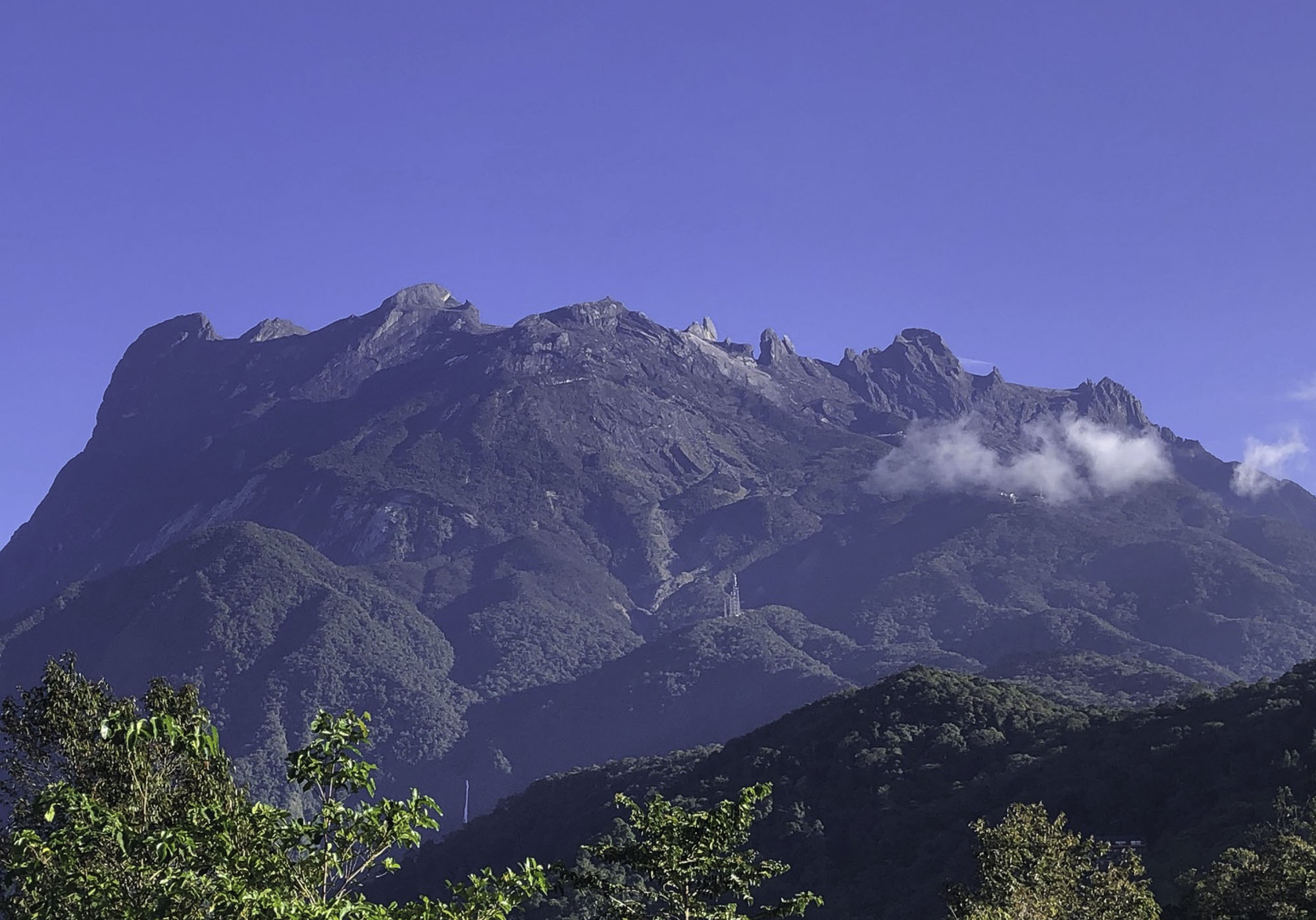 Wildlife and mountain forests of Mount Kinabalu, Borneo